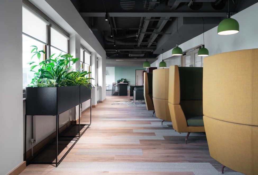 Plants and biophilia in the office